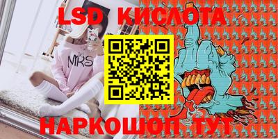 прущие грибы Заводоуковск