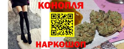 прущие грибы Заводоуковск