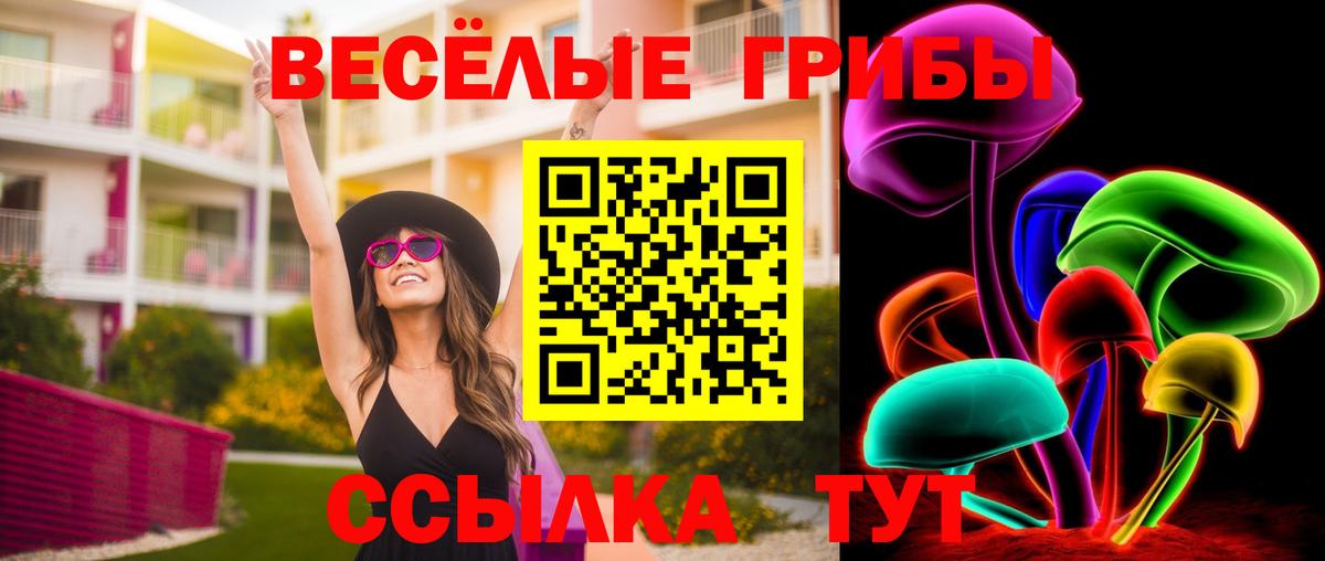Лесосибирск  Псилоцибиновые грибы Psilocybine cubensis  Псилоцибиновые грибы Cubensis  Вход с VPN 